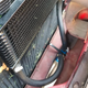 Image for article titled I Broke My 1966 Ford Mustang A Week Before It Is Supposed To Star In An Indian Wedding